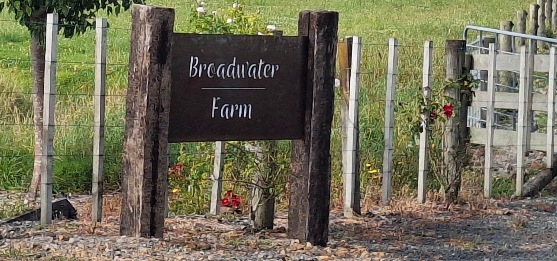 Broadwater Farm at Miranda